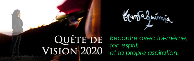 Transalquimia Quête de vision 2020