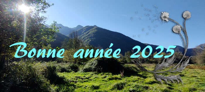 Meilleurs oeux !